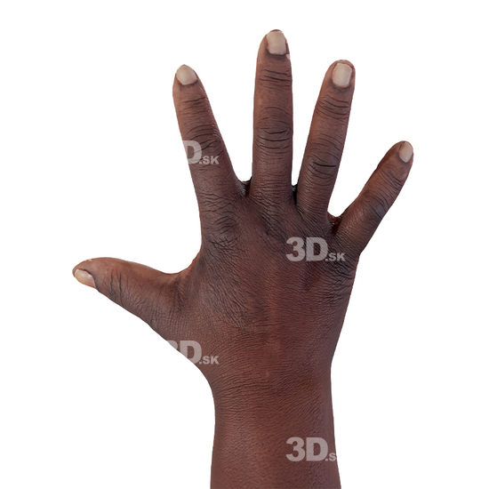 Hand Man Black 3D Retopologised Hands