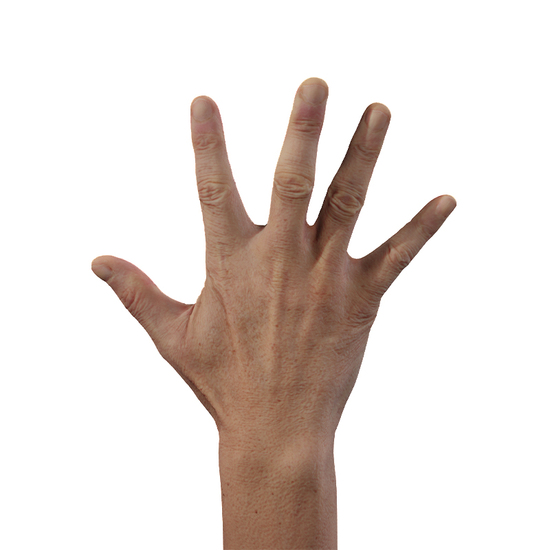 Hand Man Asian 3D Retopologised Hands