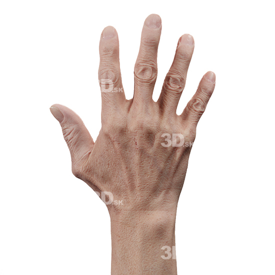 Hand Man Asian 3D Retopologised Hands