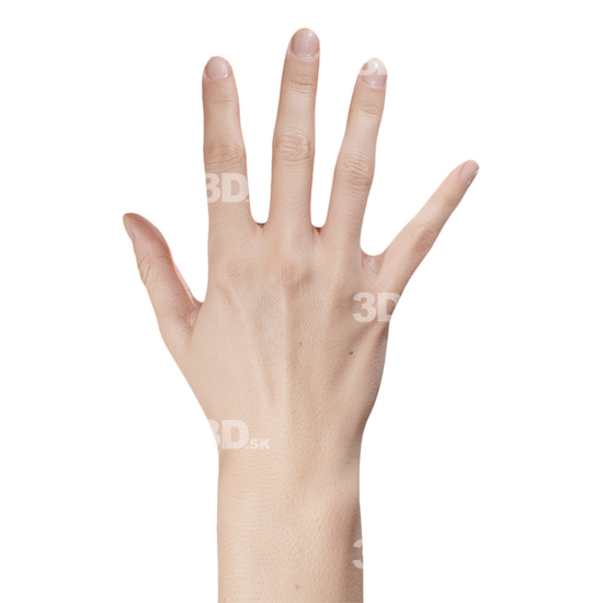 Hand Woman White 3D Retopologised Hands