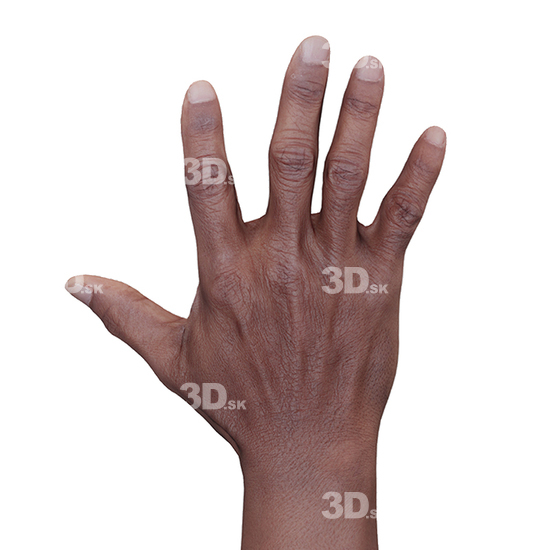 Hand Woman Black 3D Retopologised Hands