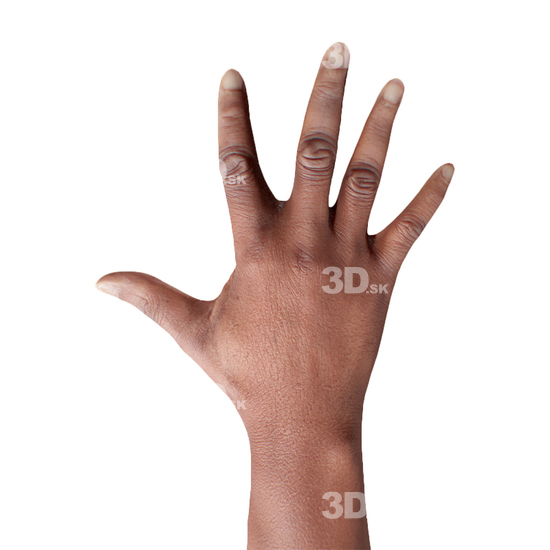 Hand Man Black 3D Retopologised Hands