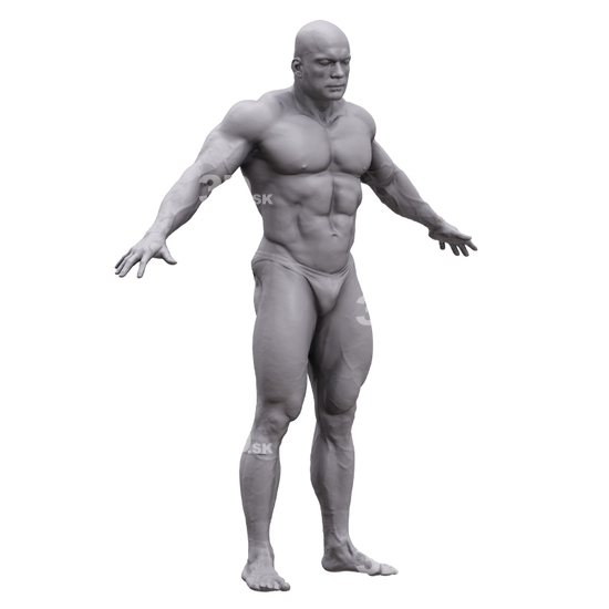 Whole Body Man White 3D Artec Bodies