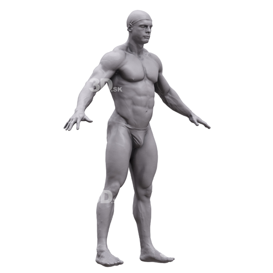 Upper Body Man White 3D Artec Bodies