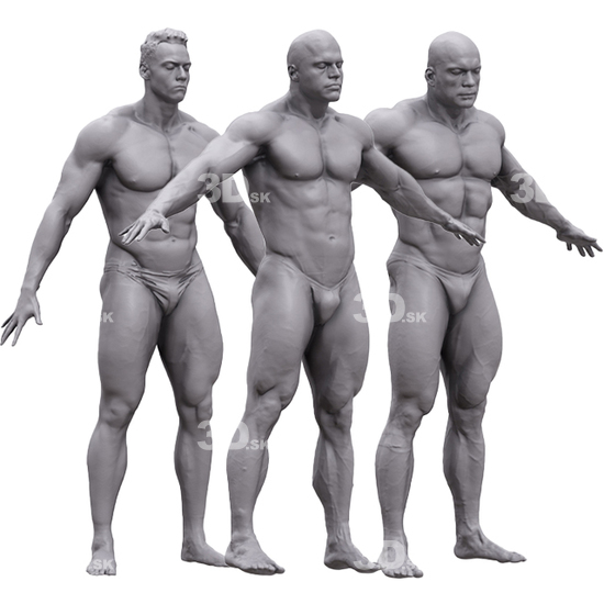 Whole Body Man White 3D Artec Bodies