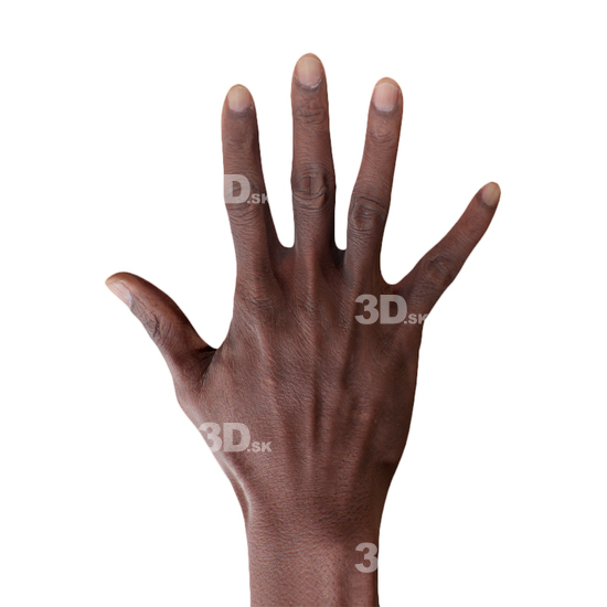 Hand Man Black 3D Retopologised Hands