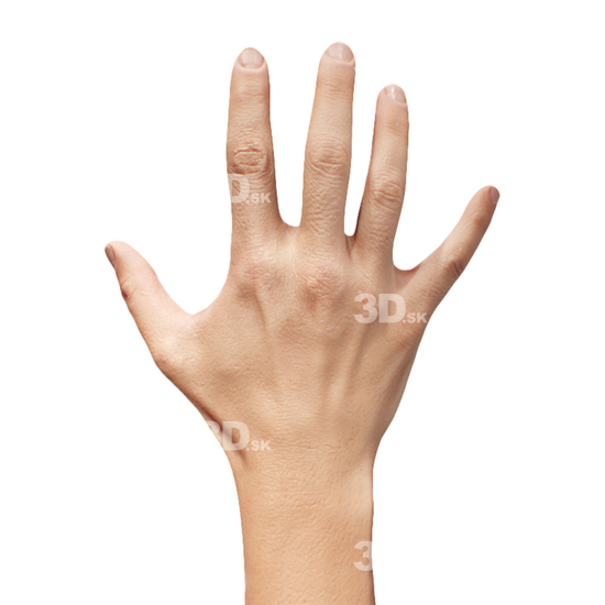 Hand Man White 3D Retopologised Hands