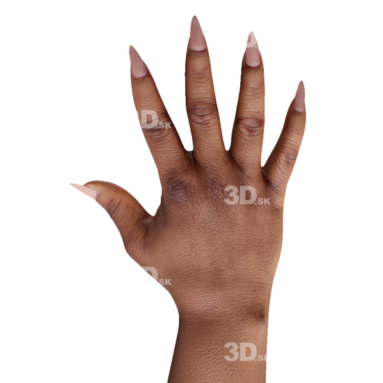 Hand Woman Black 3D Retopologised Hands