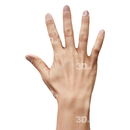 Hand Woman Black 3D Retopologised Hands