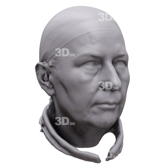 Head Woman White 3D Artec Heads