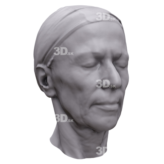 Head Woman White 3D Artec Heads