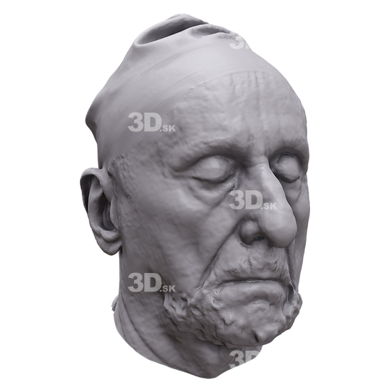 Head Man White 3D Artec Heads