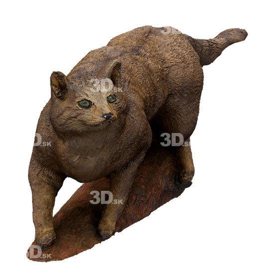 Cat 3D Scans