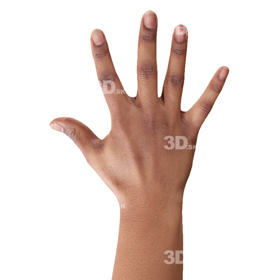 Hand Woman Black 3D Retopologised Hands