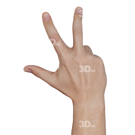 Hand Man White 3D Raw Hand Scans