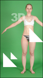 Lucy body