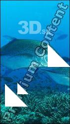 Underwater life # 9