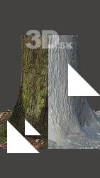 Tree Base Enviroment Scan