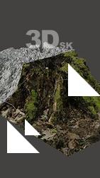 Stump Tree Base Enviroment Scan