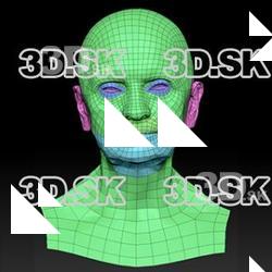 Retopologized 3D Head scan of Jindriska SubDivision