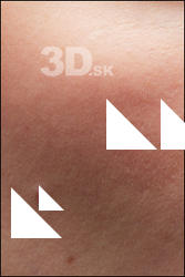  HD Face Skin Ashley 