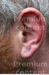 Ear Man White Average