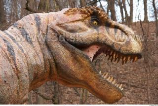 Thyranosaurus 0068
