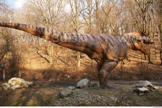 Thyranosaurus 0106
