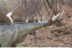 Whole Body Tail Dinosaurus-Stegosaurus Animal photo references