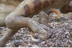 Calf Whole Body Dinosaurus-Saurian Animal photo references