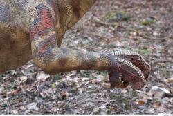 Hand Whole Body Dinosaurus-Saurian Animal photo references