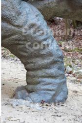 Calf Whole Body Dinosaurus-Triceratops Animal photo references