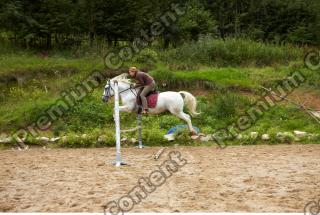 Horse poses 0067