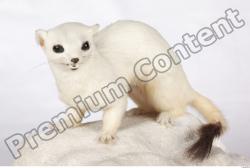 Whole Body Ermine