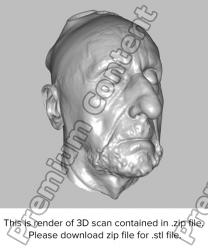 Male head 3D scan - Vlastimil