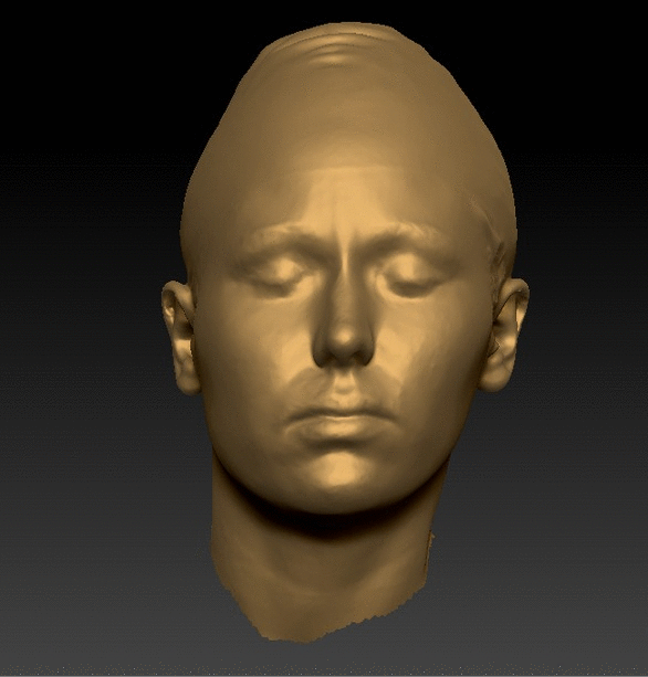 Head Woman White Chubby 3D Scans