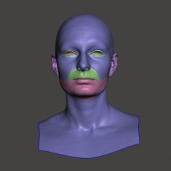 Retopologized 3D Head scan of Anicka SubDivision