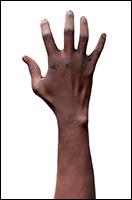 Aduba Retopo Hand Scan