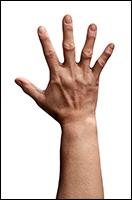 Bich Retopo Hand Scan