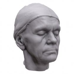 Arnold Base Scan Head