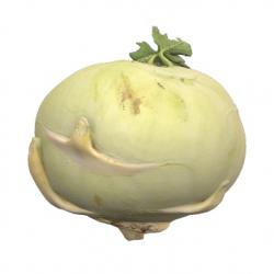 Food_Kohlrabi_3D_Scan