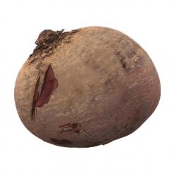 Food_Beet_3D_Scan