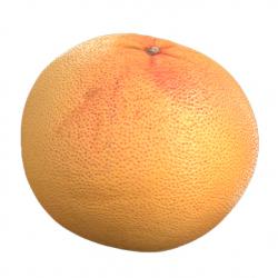 Food_Grapefruit_3D_Scan