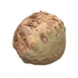 Food_Celery_Root_3D_Scan