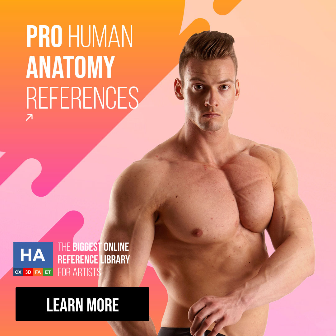 Human Anatomy References for Artists