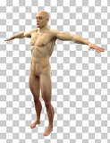 human figure2 tpose