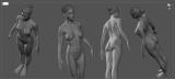 Female Anatomy study